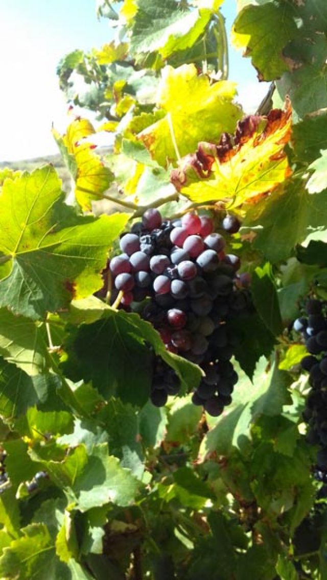 SETTEMBRE